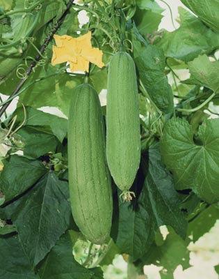 點擊圖片進入下一頁